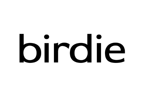 Логотип Birdie